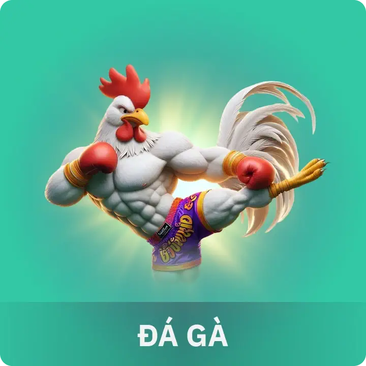 develop-v3 Đá gà